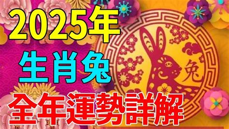 2024年屬兔運勢|【2024屬兔運程】2024年屬兔運程全解析｜運勢大 